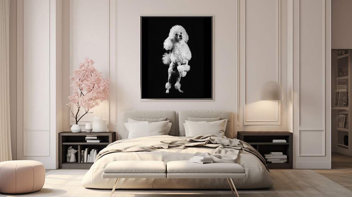 luxury dog photographer london